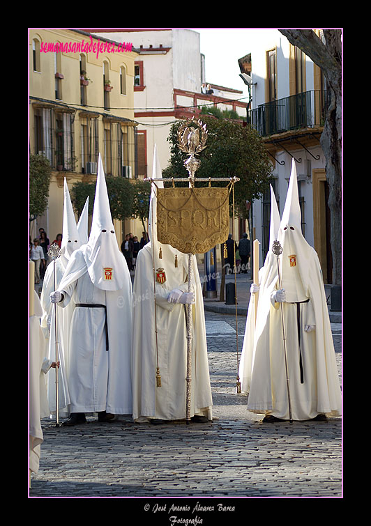 Nazareno portando el Senatus de la Hermandad del Transporte