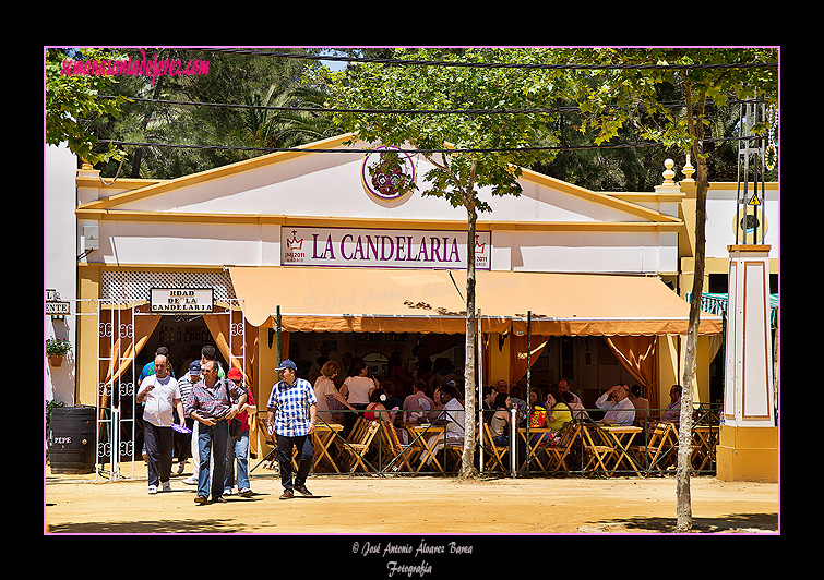 Caseta de la Hermandad de la Candelaria. Feria del Caballo 2012