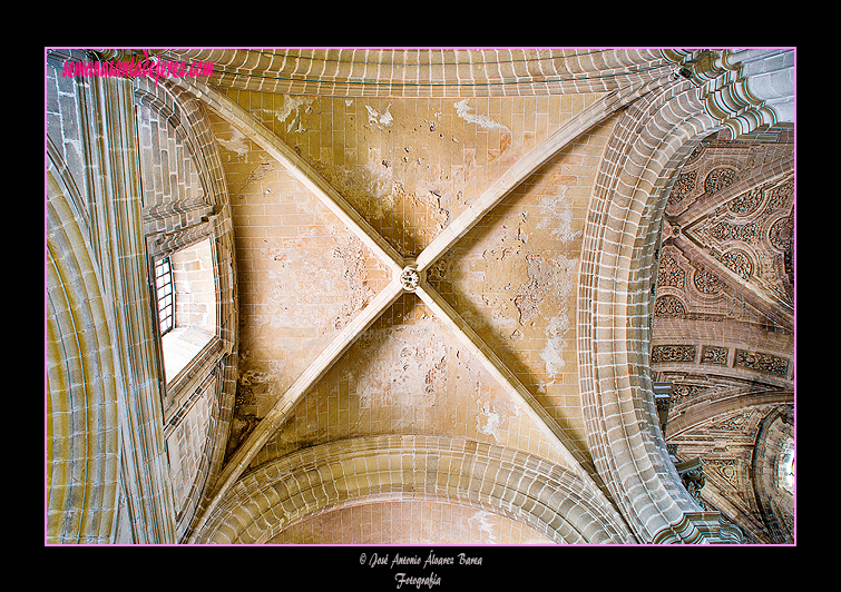 Bóveda del tramo anterior al del retablo del Cristo de la Viga (Santa Iglesia Catedral)