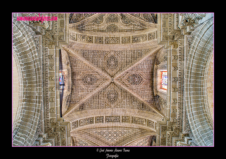 Bóveda de la nave central (Santa Iglesia Catedral)