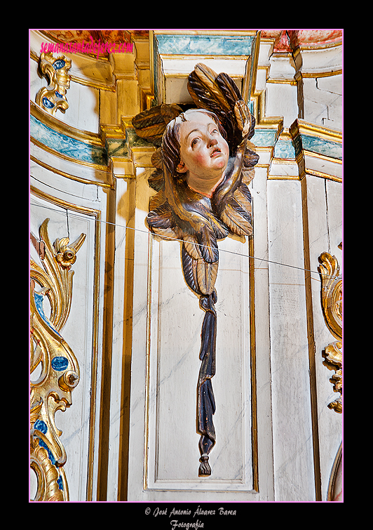 Detalle de la decoración del Retablo de San Juan Nepomuceno (Santa Iglesia Catedral)