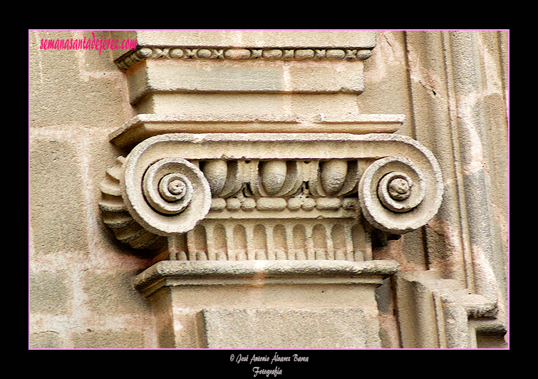 Detalle de pilastra jónica (Portada de la Visitación de la Santa Iglesia Catedral)