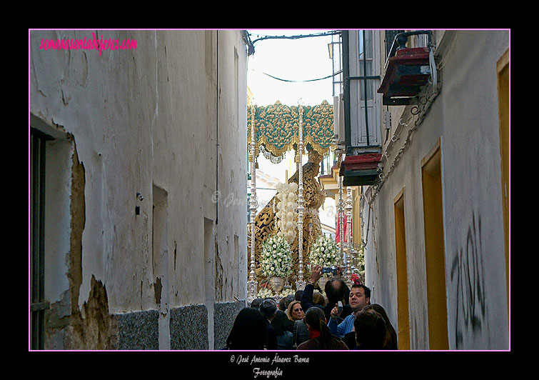 Paso de Palio de María Santísima de la Amargura