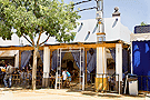 Caseta de la Hermandad de la Vera-Cruz. Feria del Caballo 2012