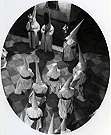 Año 1969. La Hermandad de las Cinco Llagas poco antes de iniciar la Estación de Penitencia: un Via Crucis en el Templo prepara las almas (Foto: Eduardo Pereiras)
