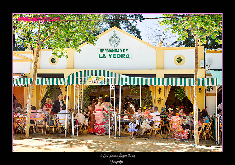 Caseta de la Hermandad de la Yedra. Feria del Caballo 2012