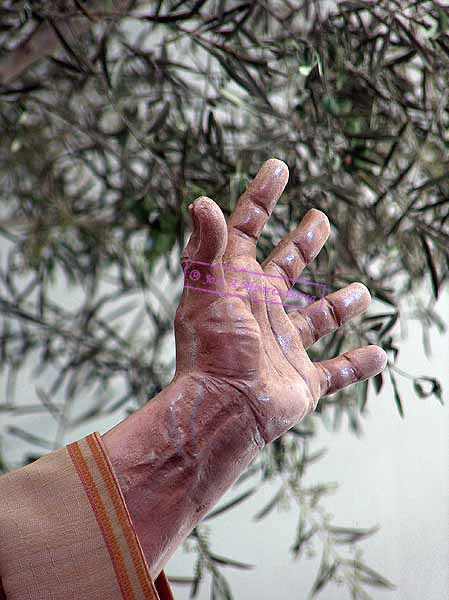 Mano izquierda de San Pedro (Paso de Misterio del Santísimo Cristo de la Clemencia en la Traición de Judas)