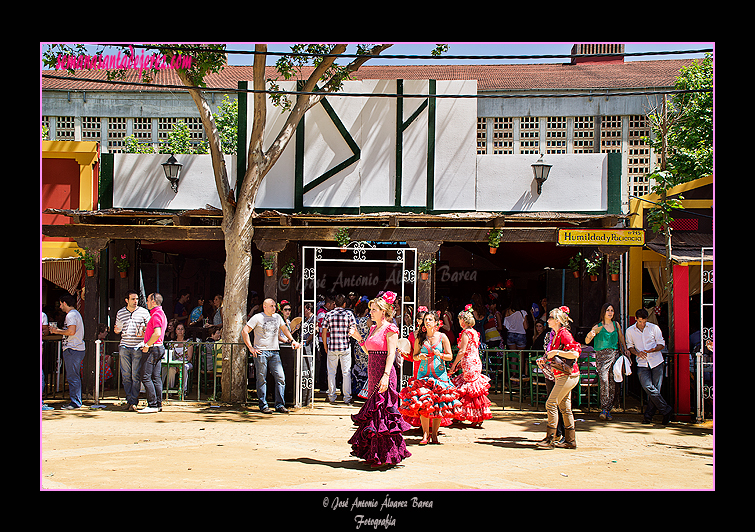 Caseta de la Hermandad de la Humildad y Paciencia. Feria del Caballo 2012